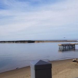 Meet your Posher, Jen